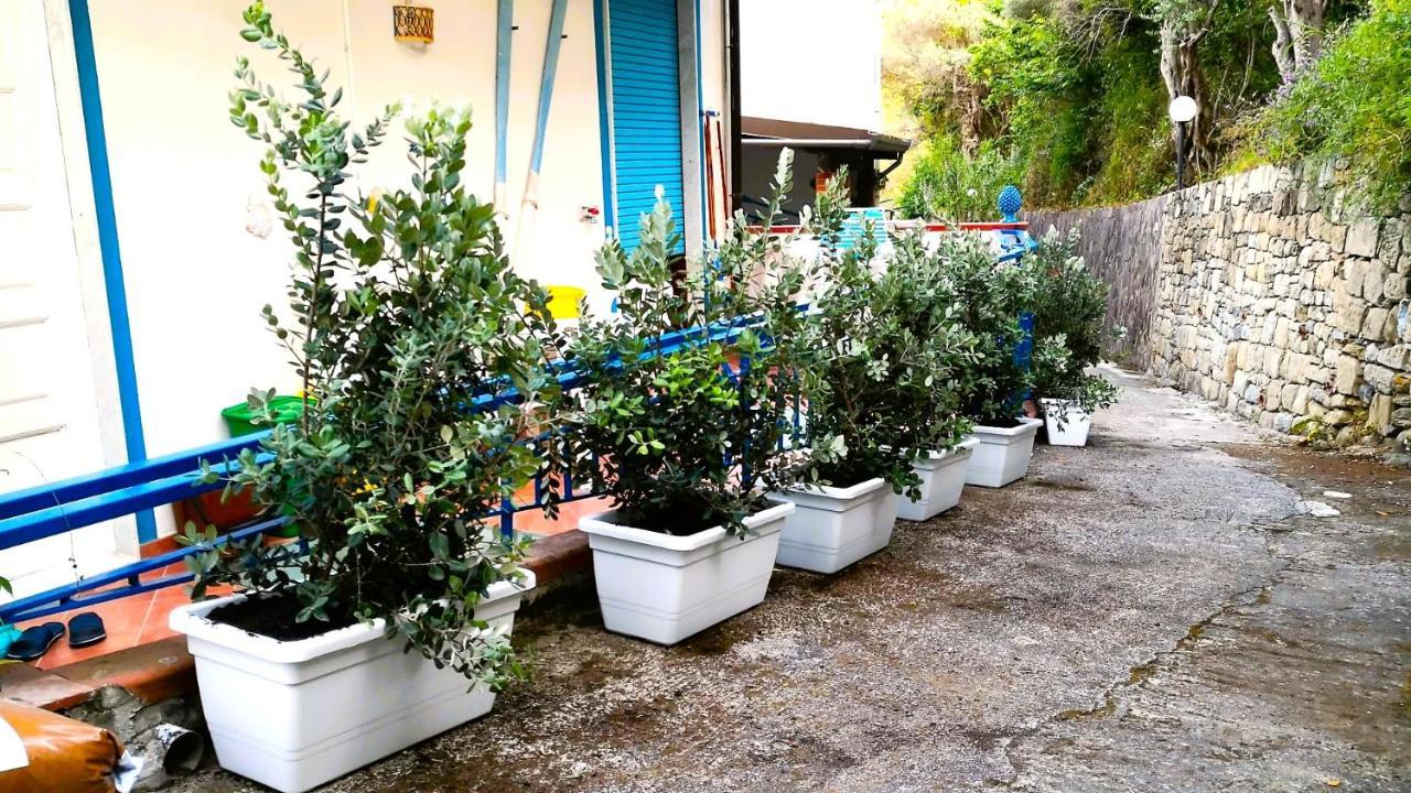 La Casa Di Aurelio Apartman Capo dʼOrlando Kültér fotó